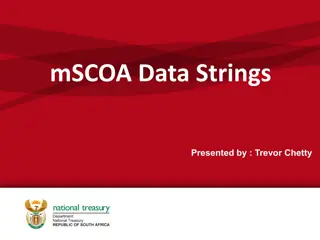 Insights on mSCOA Stress Test and Data Formatting Issues