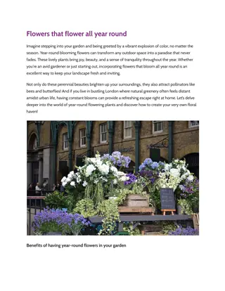Flowers that flower all year round