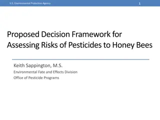 Proposed Decision Framework for Assessing Risks of Pesticides to Honey Bees
