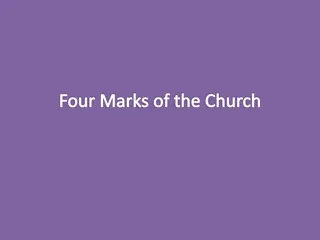 Four Marks of the Church: One, Holy, Catholic, Apostolic