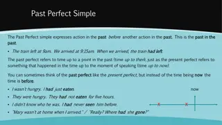Past Perfect Simple in Grammar