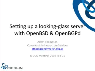 Setting up a looking-glass server with OpenBSD & OpenBGPd
