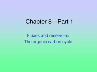 Organic Carbon Cycling
