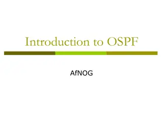 Overview of OSPF Routing Protocols