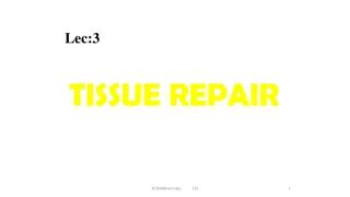 TISSUE REPAIR
