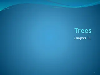 Introduction to Trees and Their Applications in Various Fields