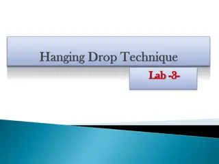 Lab Experiments for Enhanced Learning Experience