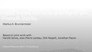 Digital Money, Monetary Sovereignty, and Financial Stability