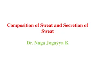 Composition of Sweat and Secretion Explained