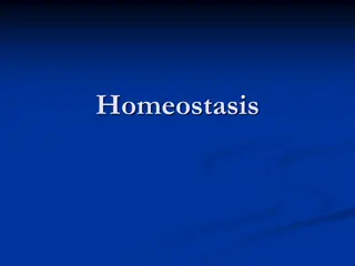 Homeostasis