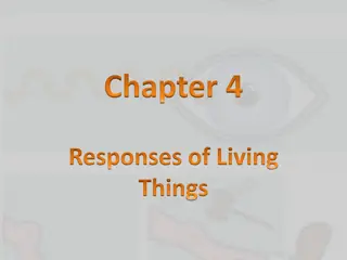 Responses of Living Things: Environment, Stimuli, and Reactions
