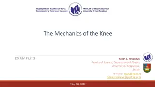 The Mechanics of the Knee