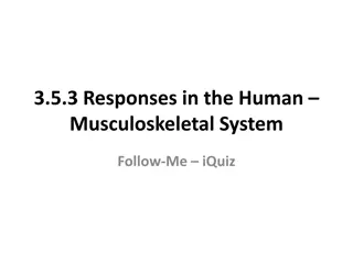 Responses in the Human Musculoskeletal System