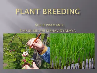 Enhancing Plant Genetics for Mankind's Benefit
