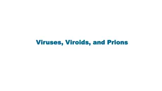 Viruses: From Microscopic Intruders to Lethal Agents