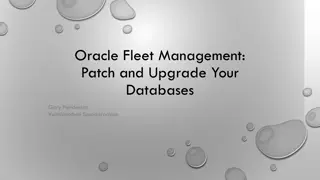 Oracle Fleet Management: