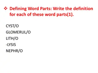 Word Parts in Anatomy