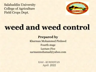 Essential Insights into Weed Indices for Effective Crop Management