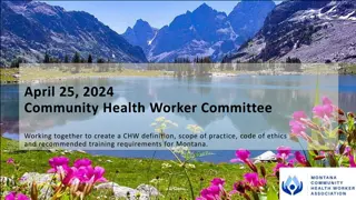 Creating CHW Definition, Scope of Practice, and Code of Ethics