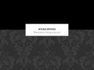 SCUBA DIVING Quiz - Discover Your Ideal Dive