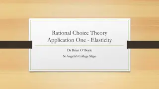 Rational Choice Theory Application One - Elasticity