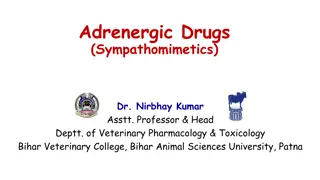 Adrenergic Drugs: Effects and Classification