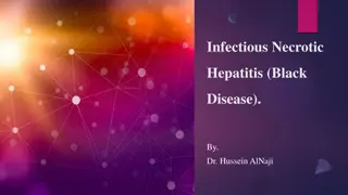 Infectious Necrotic Hepatitis