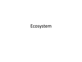 Ecosystem Components and Interactions