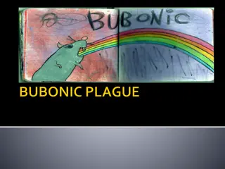 Exploring the History of Bubonic Plague Through Images