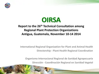 OIRSA - Plant Protection Programs and Organizational Initiatives
