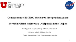 Comparisons of IMERG Version 06 Precipitation in the Tropics