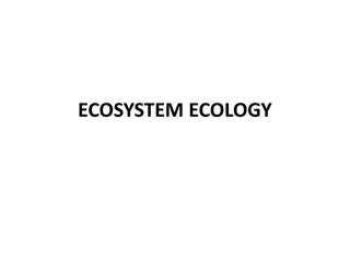 Ecosystems: Key Principles and Concepts