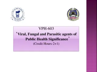 Kyasanur Forest Disease: A Tick-Borne Viral Hemorrhagic Fever