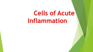 Cells of Acute Inflammation
