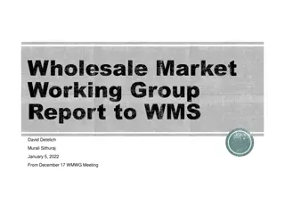 Wholesale Market Working Group Report to WMS