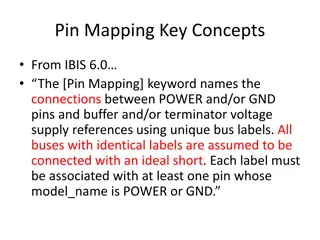 Pin Mapping Key Concepts in Interconnect BIRD Draft 9