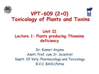 Plants Producing Thiamine Deficiency in Livestock