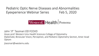 Pediatric Optic Nerve Diseases and Abnormalities Webinar