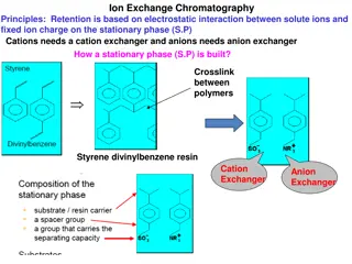 Ion Exchange Chromatography Principles and Mechanism