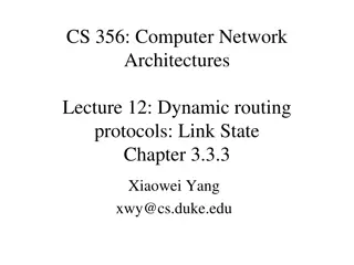 Dynamic Routing Protocols & Algorithms Overview