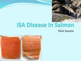 Infectious Salmon Anaemia: Impacts and Findings