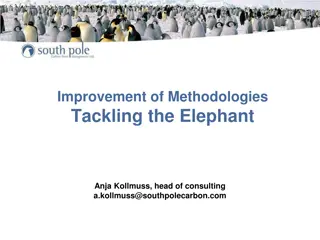 Improvement of Methodologies for Tackling the Elephant