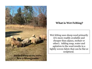 Wet Felting Using Sheep Wool: A Tutorial