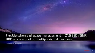 Flexible Scheme of Space Management in ZNS SSD/SMR HDD Storage Pool