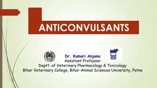 Anticonvulsants and Epilepsy