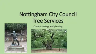 Nottingham City Council Tree Services Strategy and Urban Forest Planning