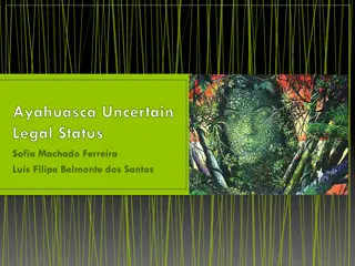 Ayahuasca Legal Status: Sofia Machado Ferreira Lus Filipe Belmonte dos Santos