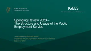 IGEES: Public Employment Service Structure & Usage Review