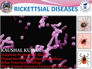 RICKETTSIAL DISEASES
