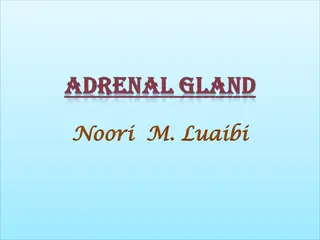 ADRENAL GLAND